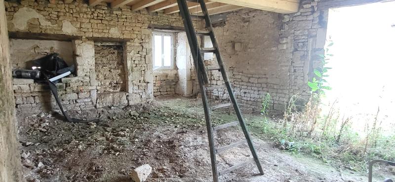 Maison ancienne - 300 m² - 8 pièces