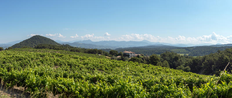 Domaine de Mourchon - Visite et Dégustation