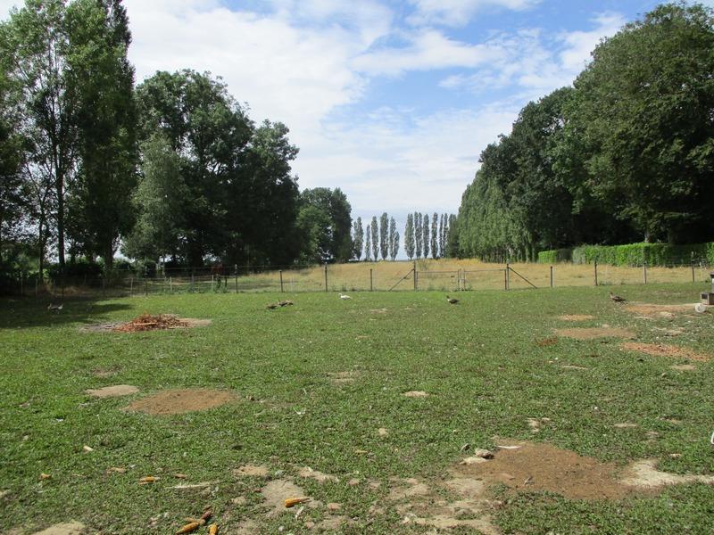 Maison de maîtres - 172 m² - 8 pièces