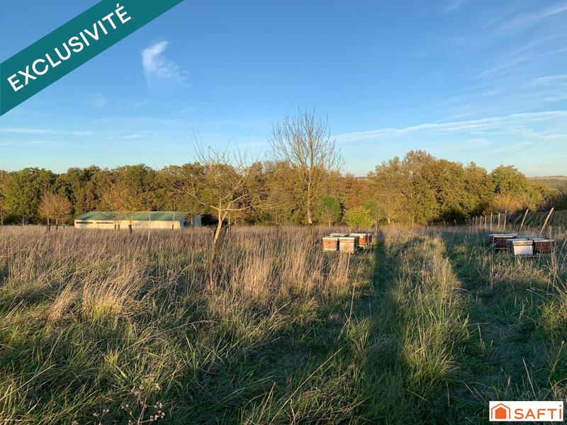 Terrain - 24 151 m²