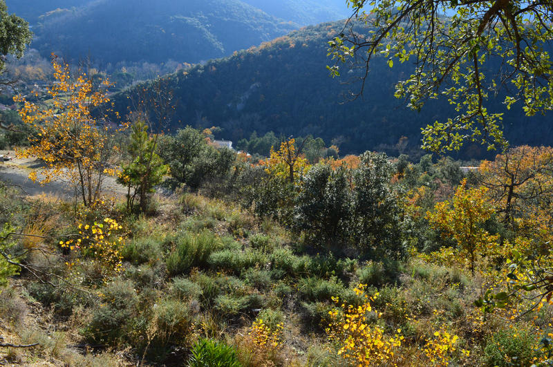 Terrain - 18 305 m²