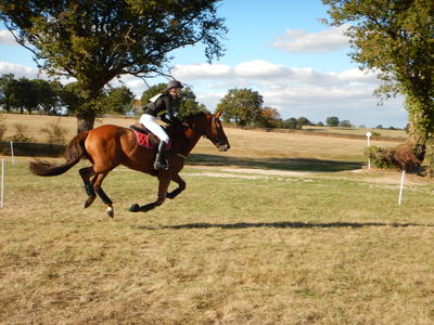 Finale nationale jeunes chevaux d’endurance