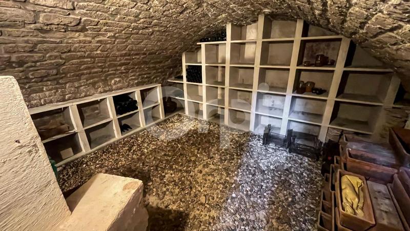 Maison en pierre - 323 m² - 10 pièces