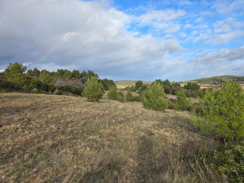 Terrain agricole - 8 540 m²