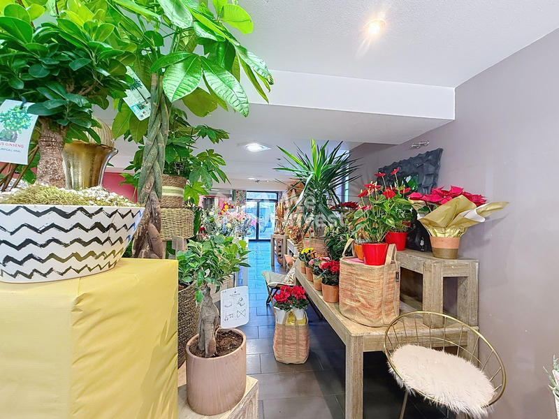 Fonds de commerce - Magasins - 210 m²