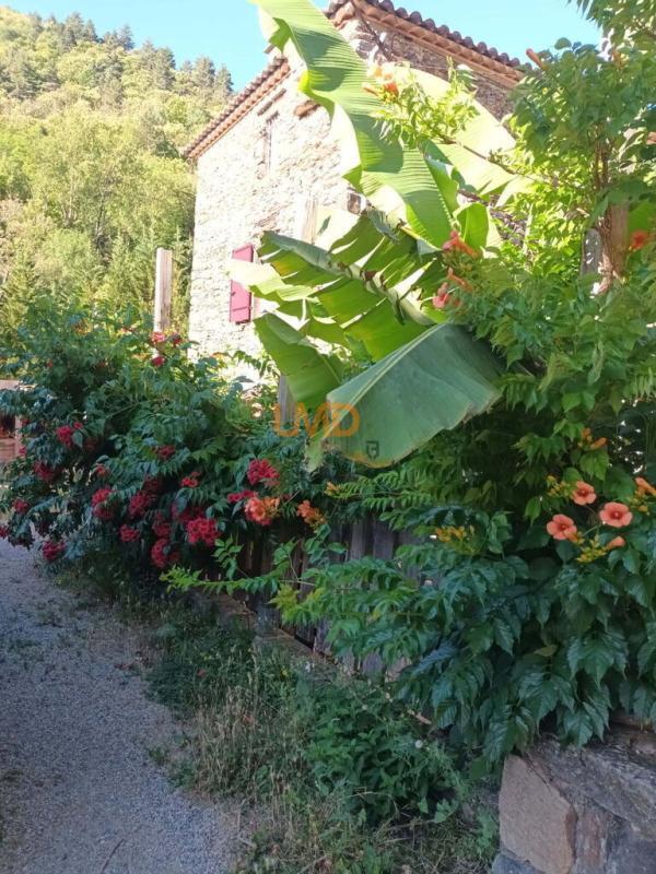 Mas - 162 m² - 10 pièces