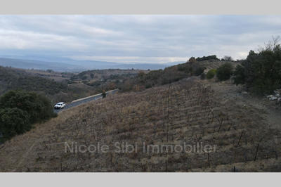 Terrain agricole - 11 940 m²