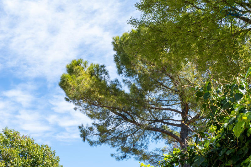 Maison - 203 m² - 6 pièces