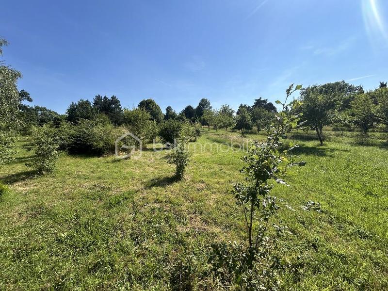 Propriété - 332 m² - 8 pièces