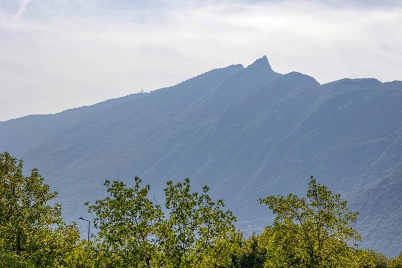 Studio - 18 m² - 1 pièce