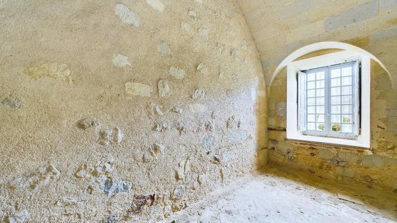 Château - 3 000 m² - 30 pièces