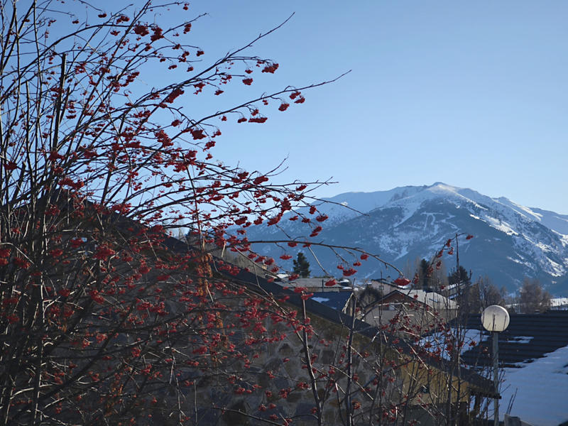 Appartement - 149 m² - 5 pièces