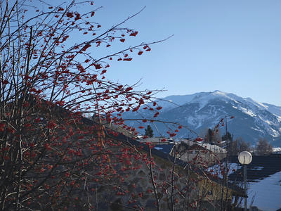 Appartement - 149 m² - 5 pièces