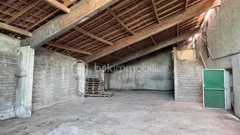 Bureau - 1 039 m² - 3 pièces