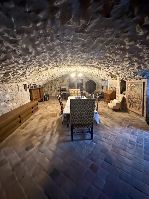 Château - 350 m² - 5 pièces