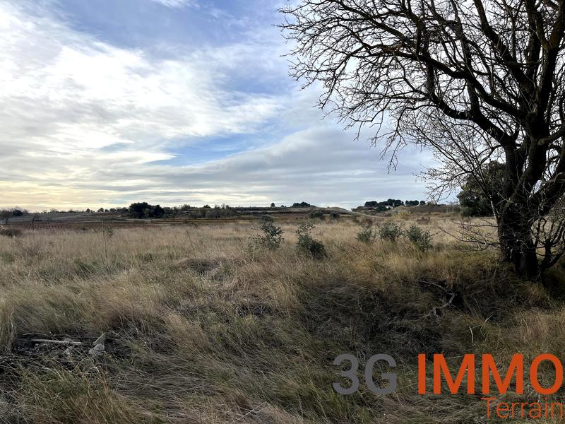 Terrain agricole - 10 081 m²