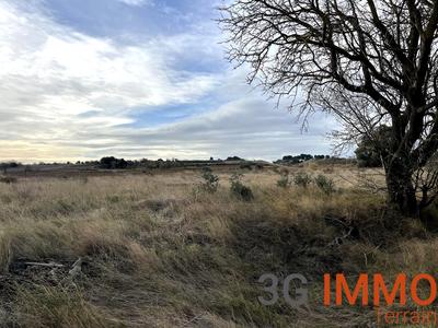 Terrain agricole - 10 081 m²
