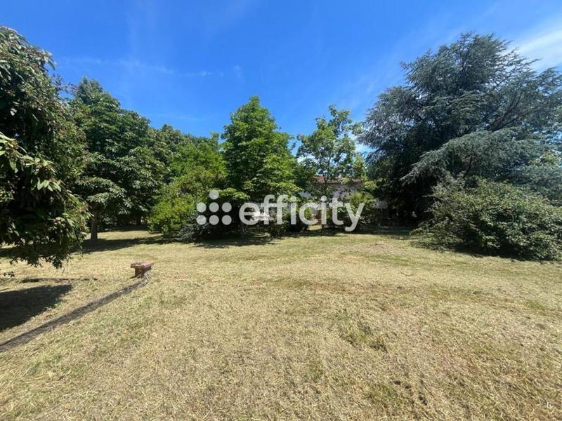Terrain - 1 329 m²