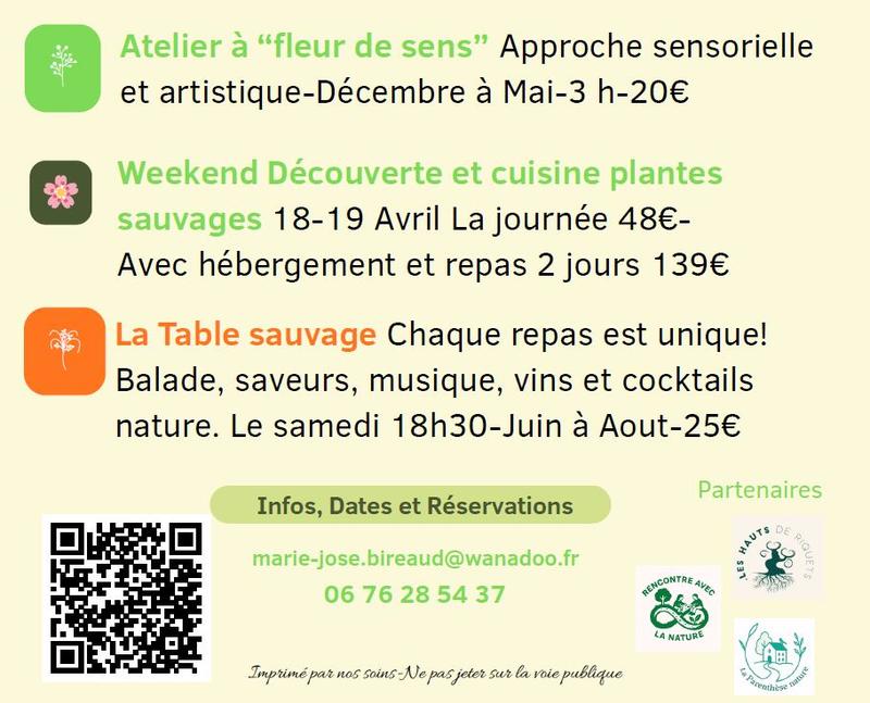 Sortie salades sauvages