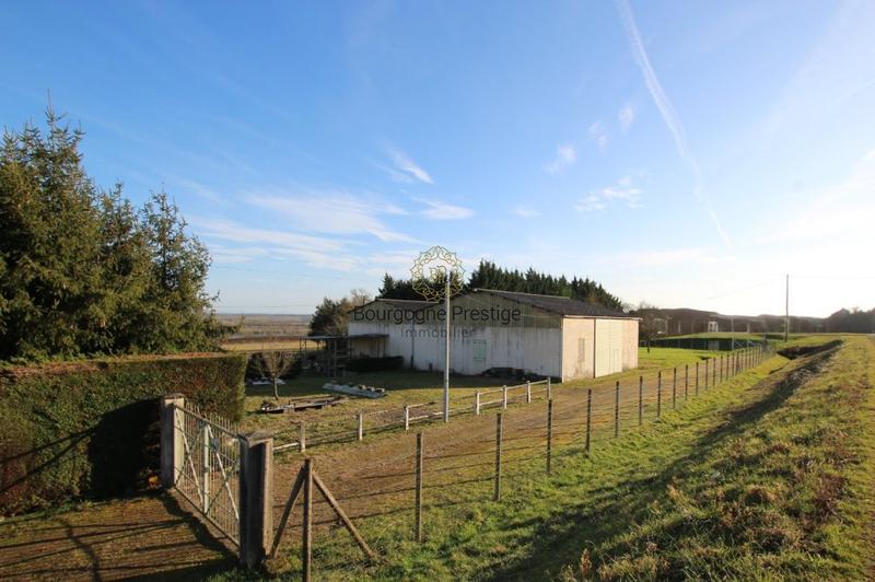 Local d'activité / Entrepôt - 527 m²