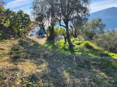 Terrain - 3 830 m²
