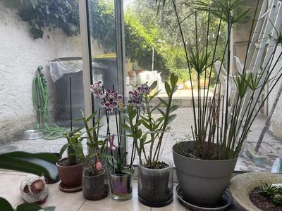 Maison - 117 m² - 6 pièces