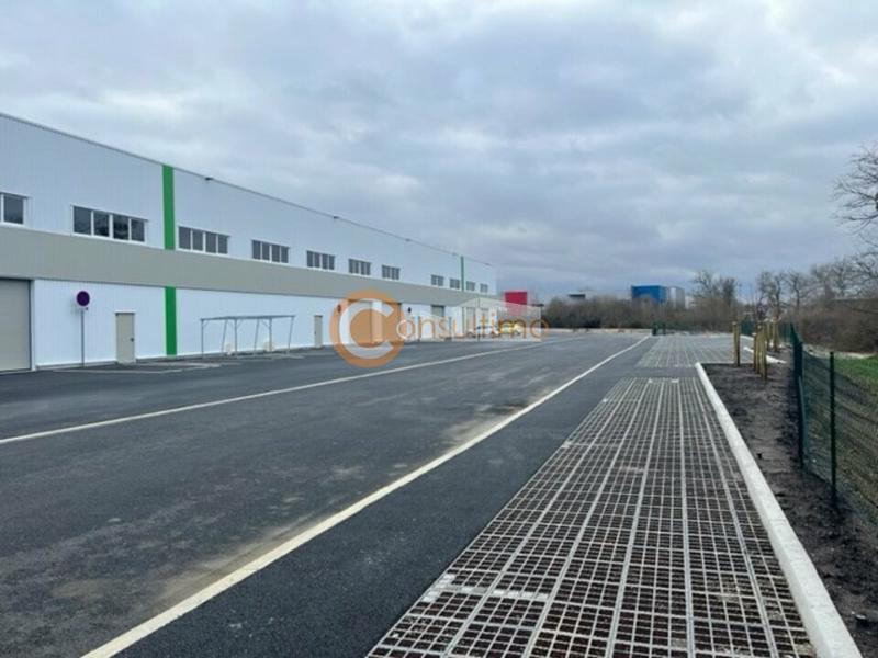 Local d'activité / Entrepôt - 145 m²