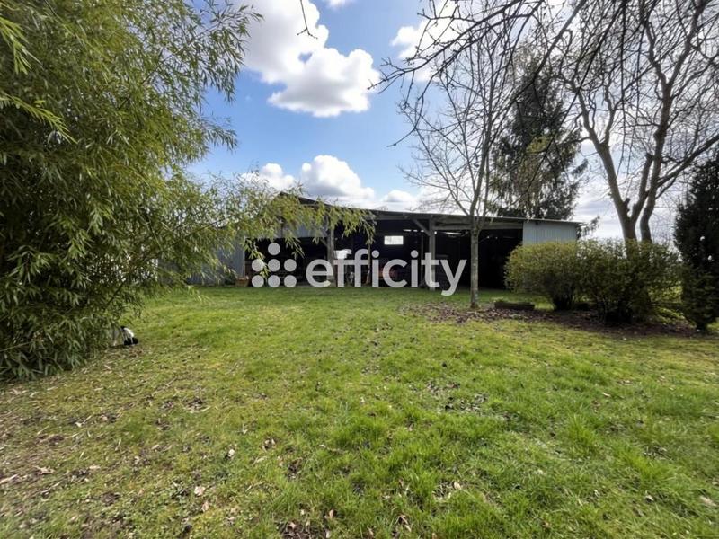 Ferme - 322 m² - 9 pièces