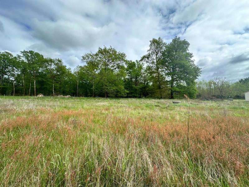 Terrain constructible - 4 000 m²