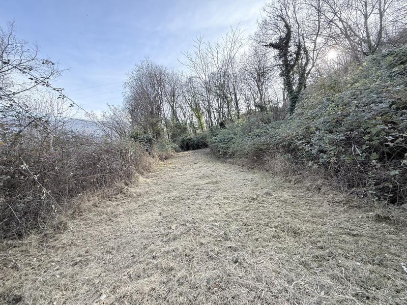 Terrain - 21 748 m²