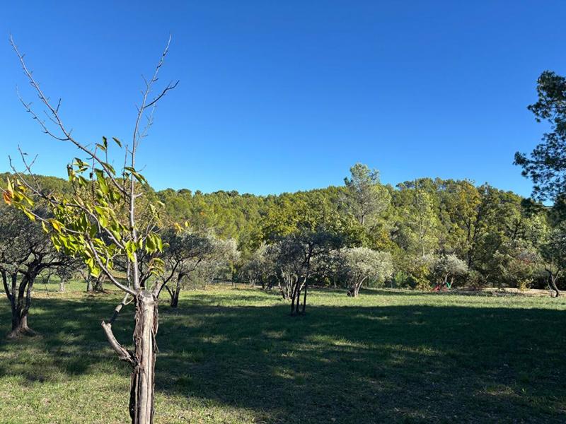 Terrain constructible - 1 622 m²