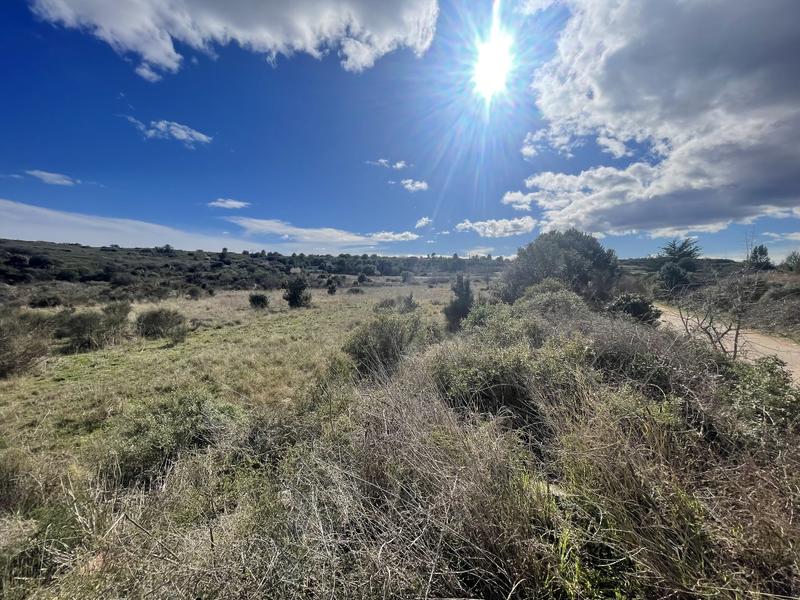 Terrain inconstructible - 6 683 m²