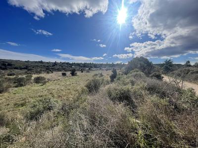 Terrain inconstructible - 6 683 m²