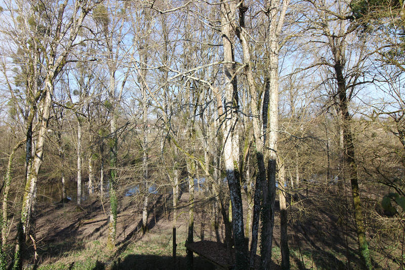 Maison - 177 m² - 7 pièces