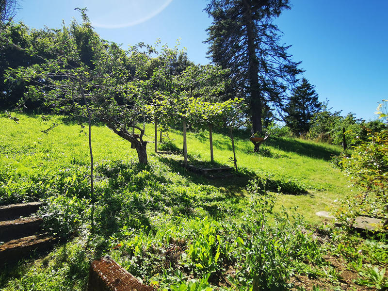 Maison - 73 m² - 4 pièces