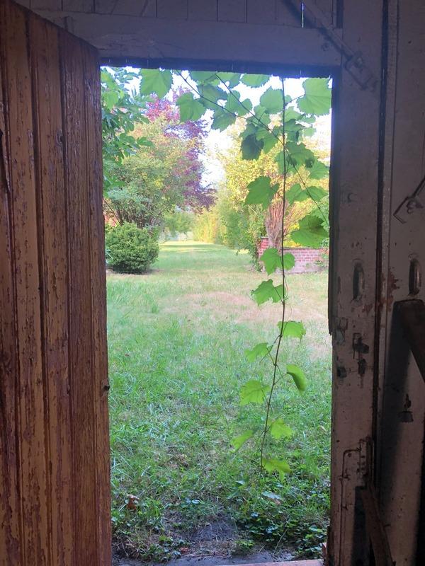 Fermette - 217 m² - 10 pièces