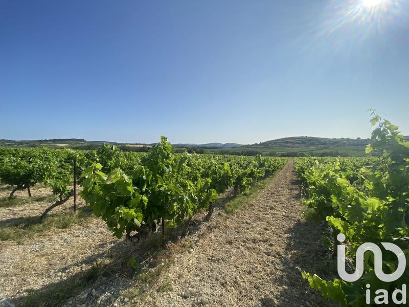 Terrain agricole - 216 211 m²