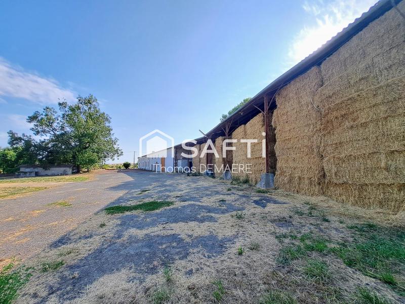 Maison - 214 m² - 8 pièces