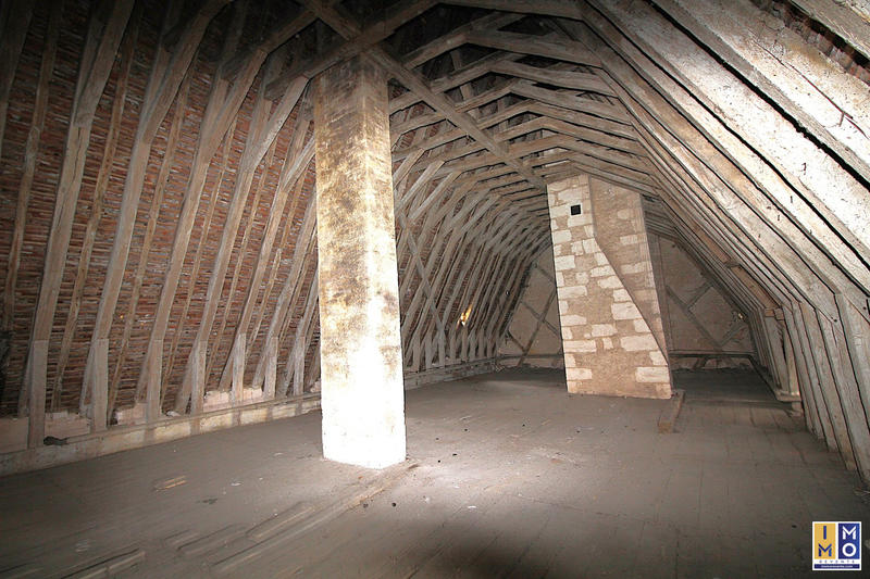 Maison ancienne - 348 m² - 13 pièces