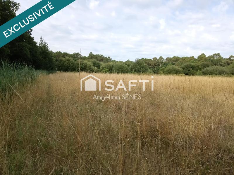 Terrain agricole - 60 000 m²