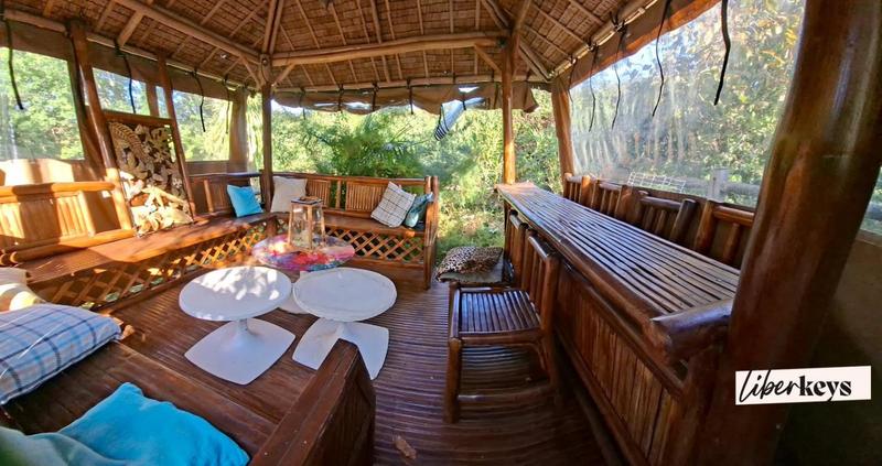 Maison bourgeoise - 450 m² - 14 pièces