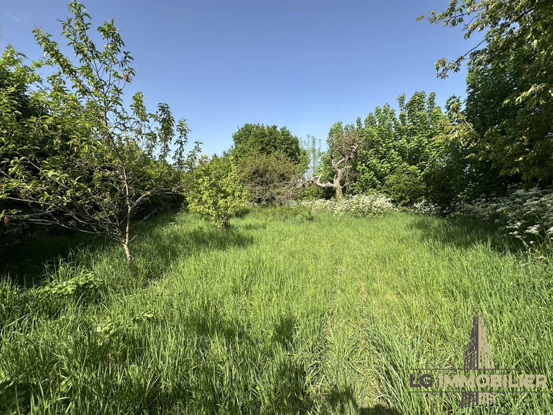 Maison - 248 m² - 7 pièces