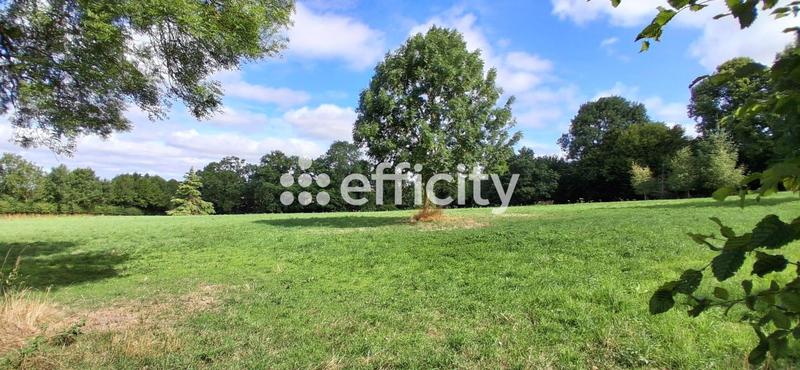 Propriété - 205 m² - 6 pièces