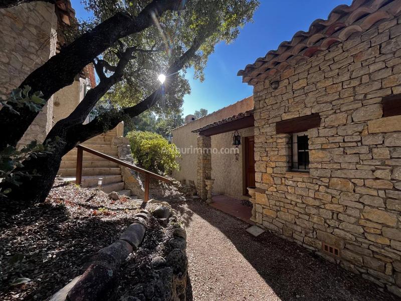 Maison - 261 m² - 7 pièces