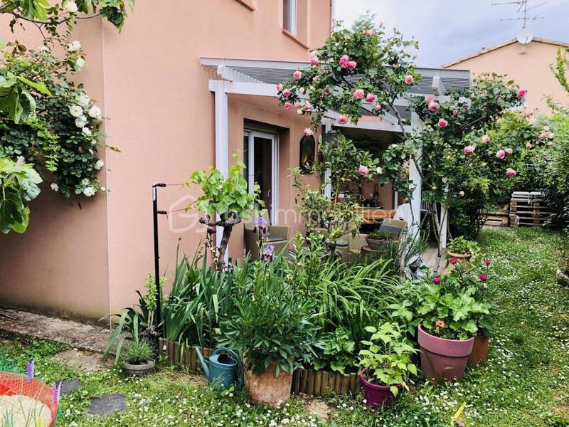 Maison jumelée - 75 m² - 3 pièces