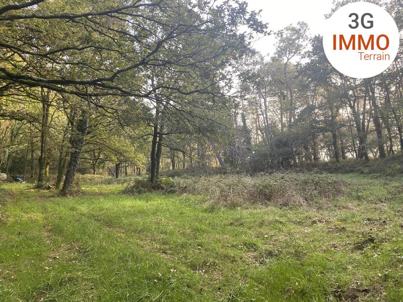 Terrain - 17 766 m²