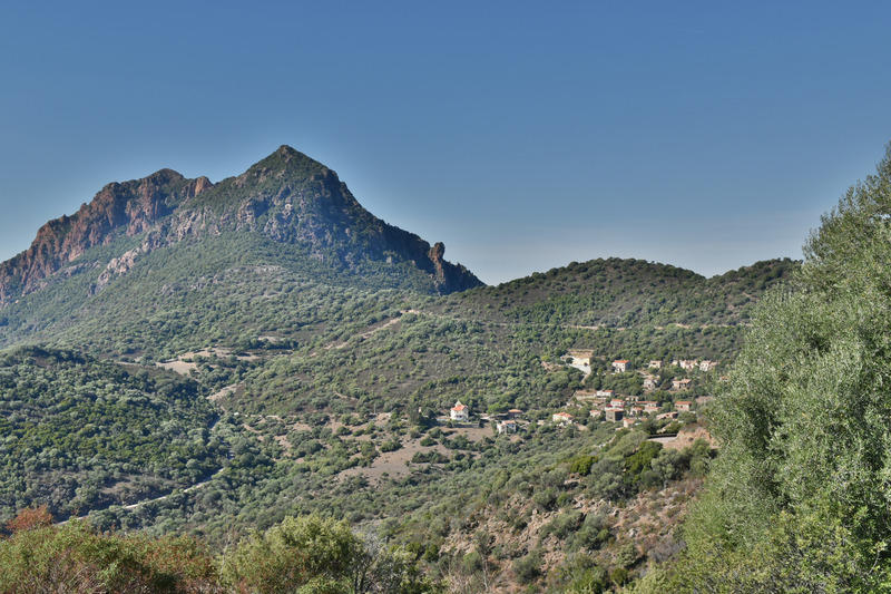 Immeuble - 920 m² - 25 pièces