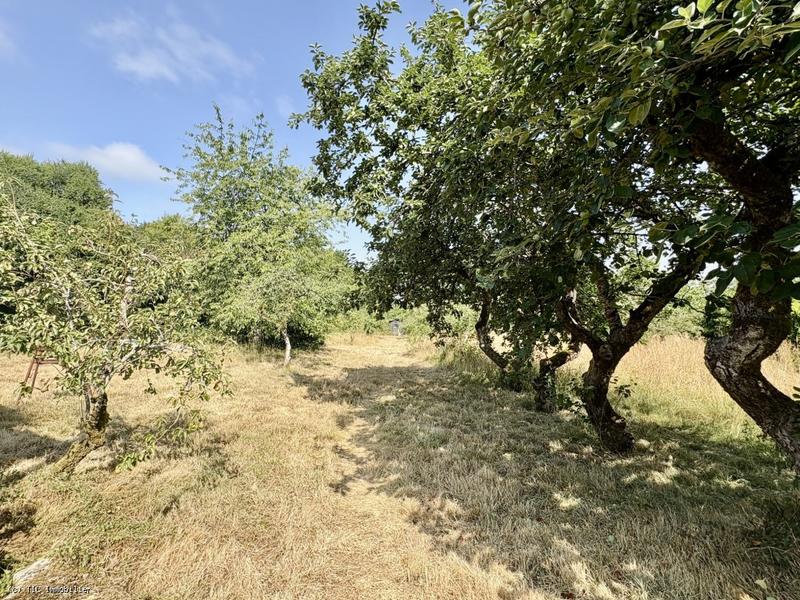 Maison en pierre - 148 m² - 5 pièces