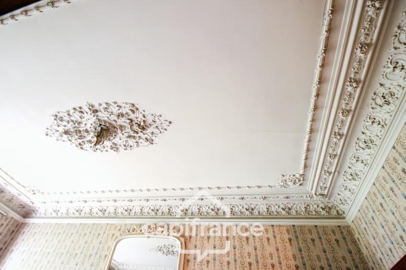 Hôtel particulier - 570 m² - 20 pièces