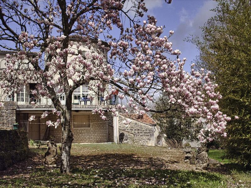 Maison de campagne - 298 m² - 9 pièces